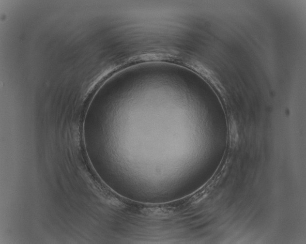 X0000073910297200608181031