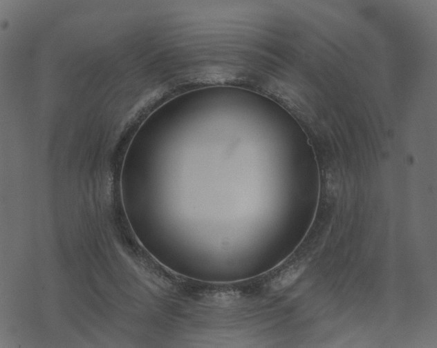 X0000073910304200608181031