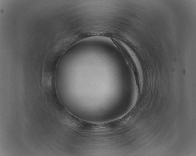 X0000073910315200608181031