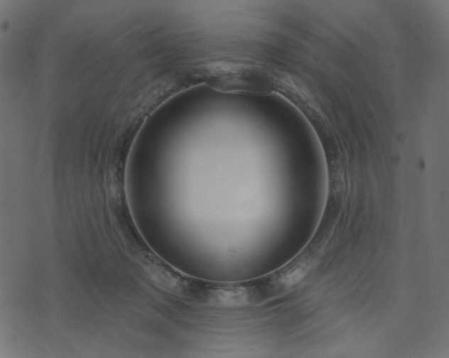 X0000073910317200608181030