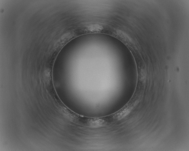 X0000073910321200608181030