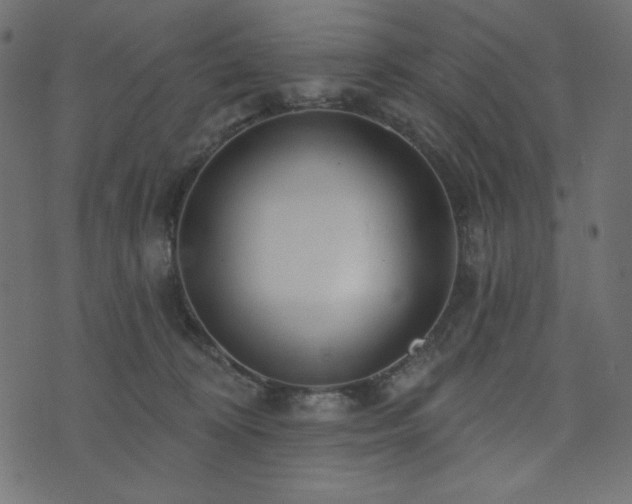 X0000073910324200608181030