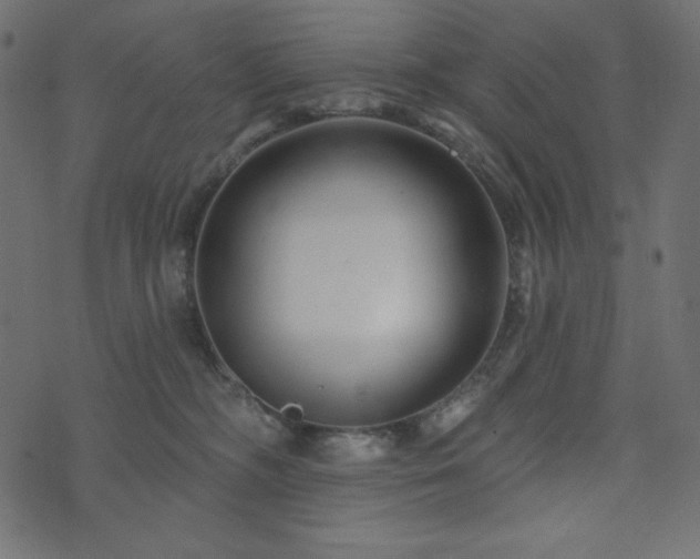 X0000073910326200608181030