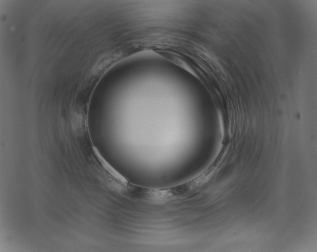 X0000073910333200608181030