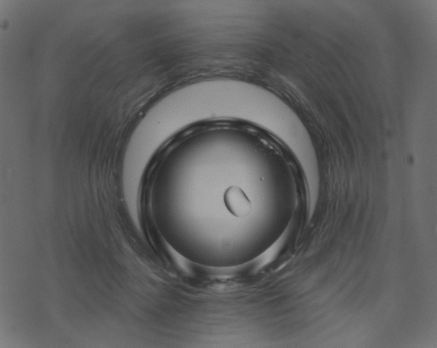 X0000073910364200608181030