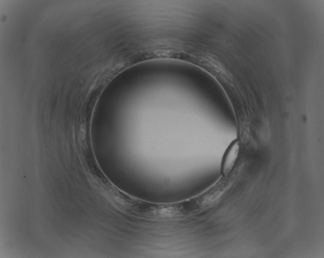 X0000073910365200608181030