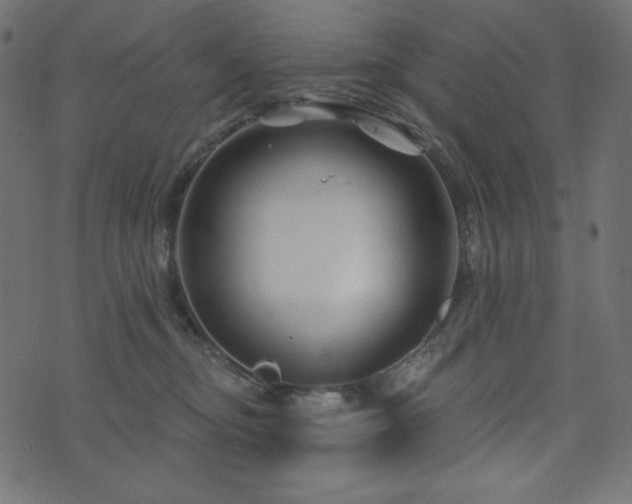 X0000073910374200608181030