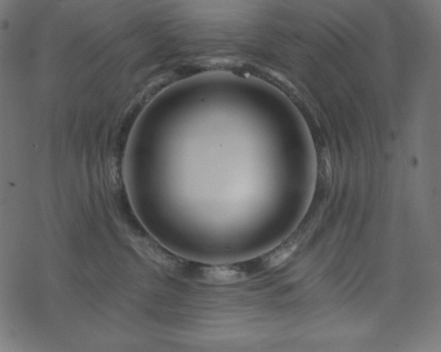 X0000073910380200608181030