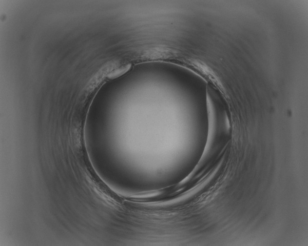 X0000073910393200608181029
