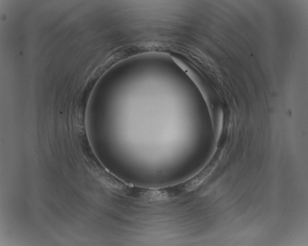 X0000073910421200608181029