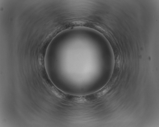 X0000073910424200608181029