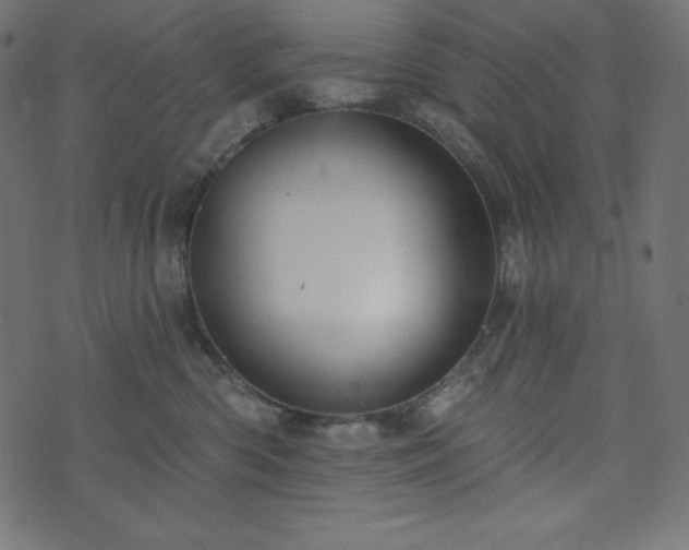 X0000073910426200608181029