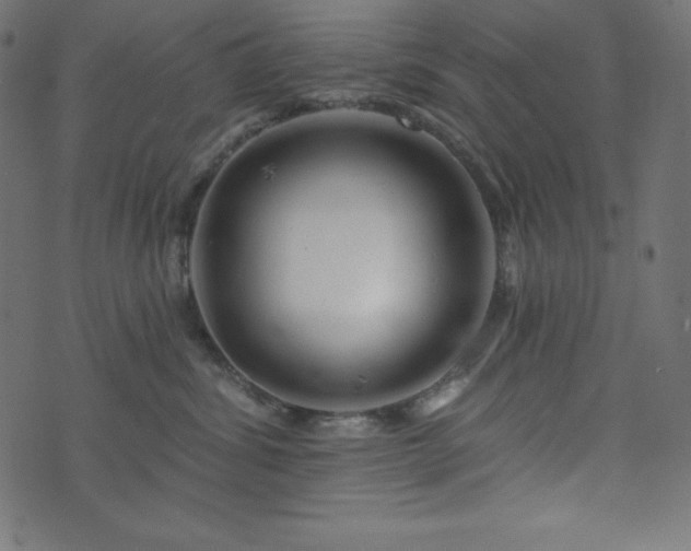X0000073910428200608181029