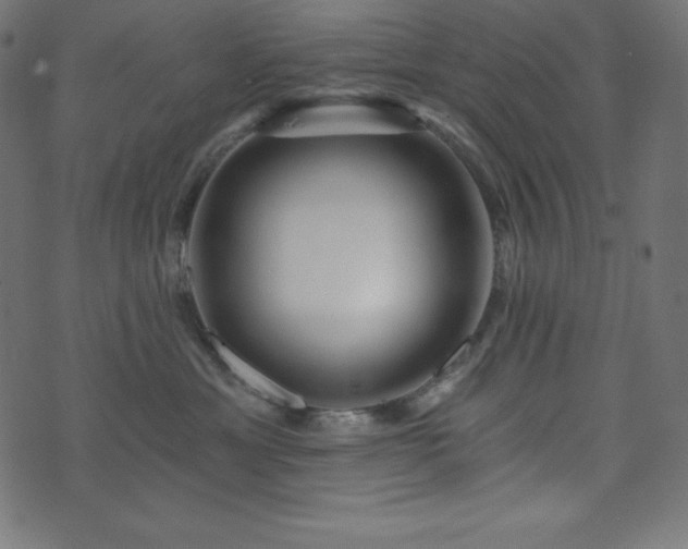 X0000073910429200608181029