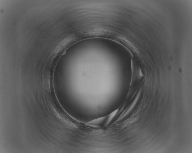 X0000073910446200608181028