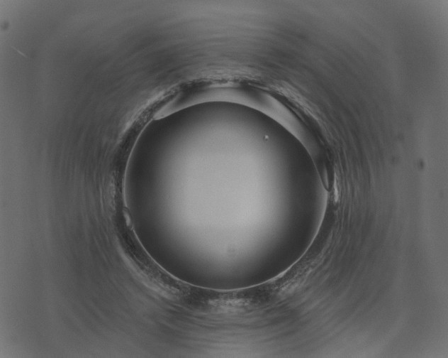 X0000073910448200608181028