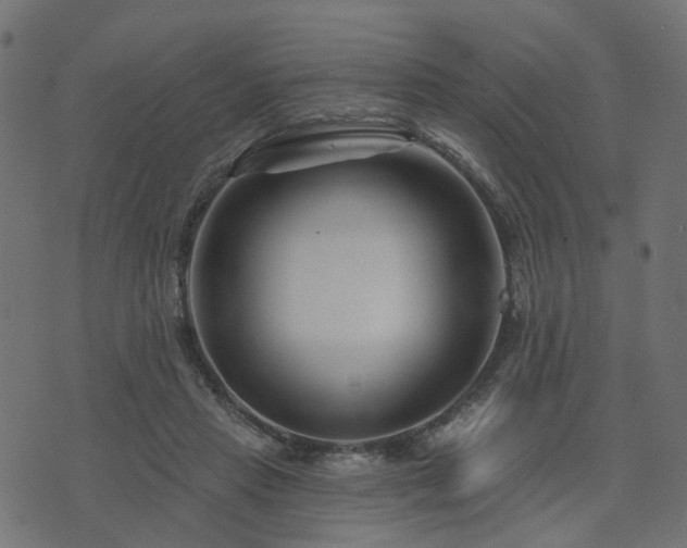 X0000073910453200608181028