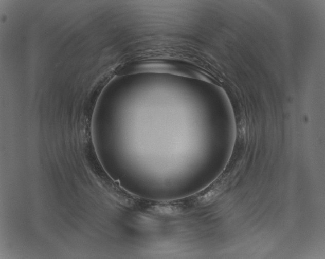 X0000073910464200608181028