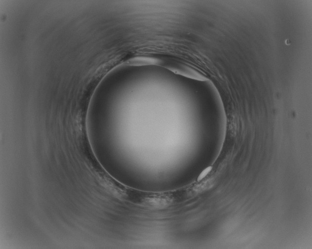 X0000073910466200608181028