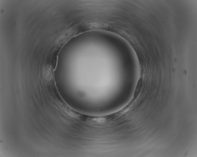 X0000073910478200608181029