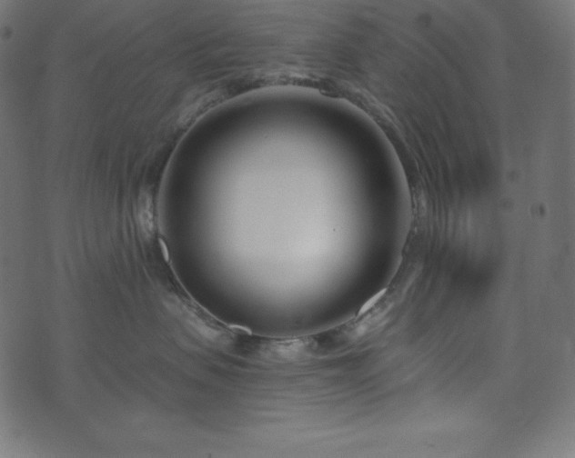 X0000073910479200608181029