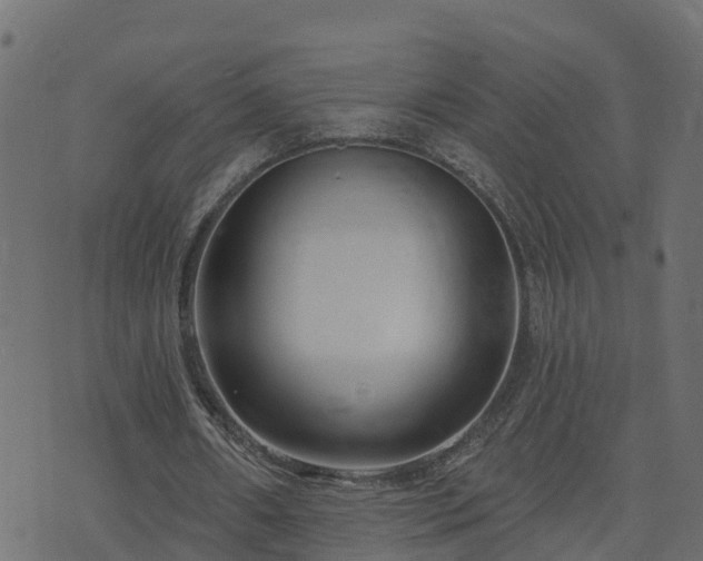 X0000073910482200608181028