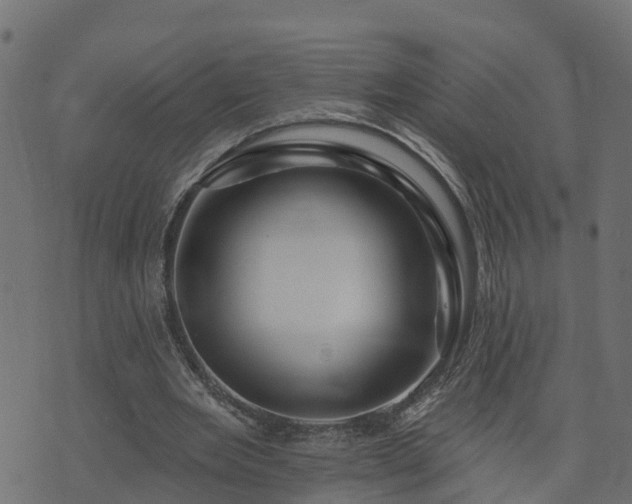 X0000073910485200608181028