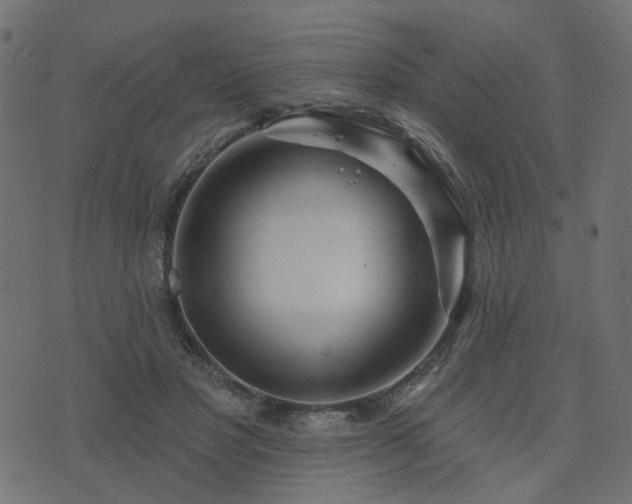 X0000073910501200608181027