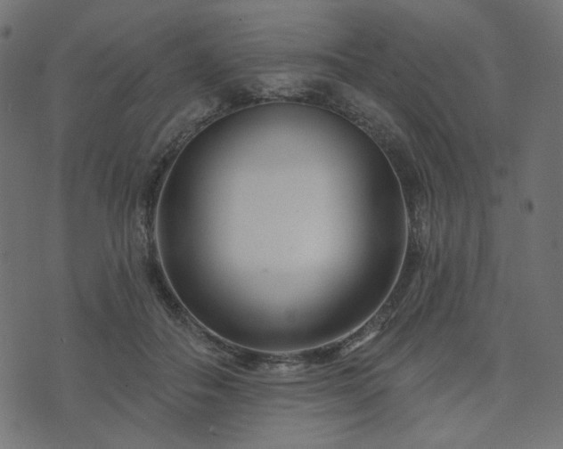 X0000073910506200608181027