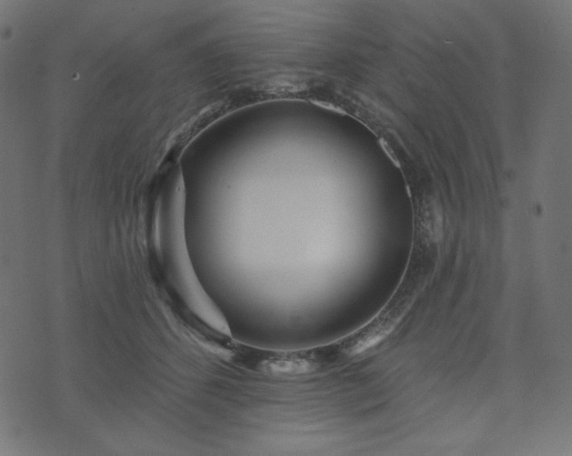 X0000073910512200608181027