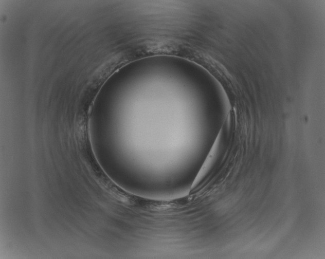 X0000073910513200608181027