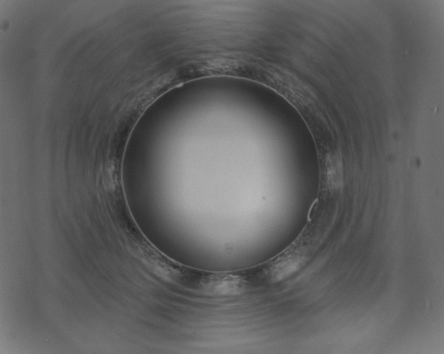 X0000073910514200608181027
