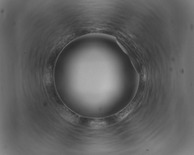X0000073910515200608181027