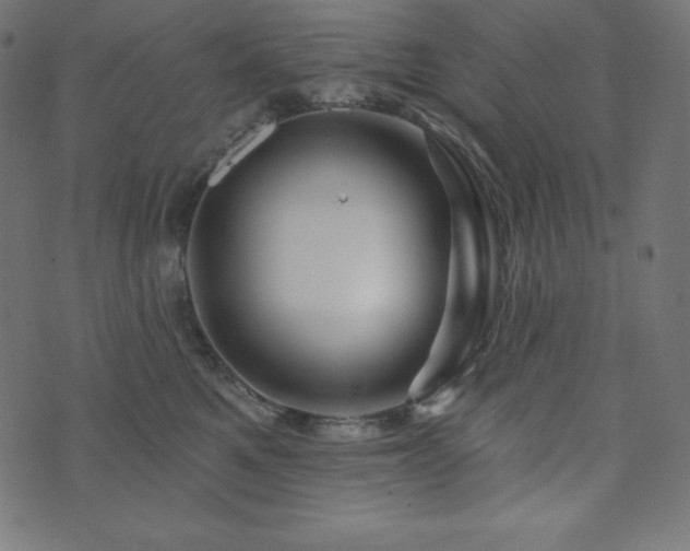 X0000073910521200608181027