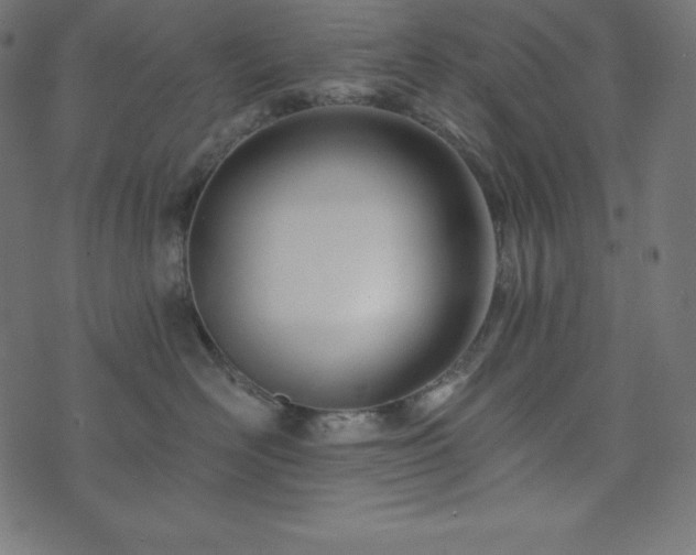 X0000073910526200608181027