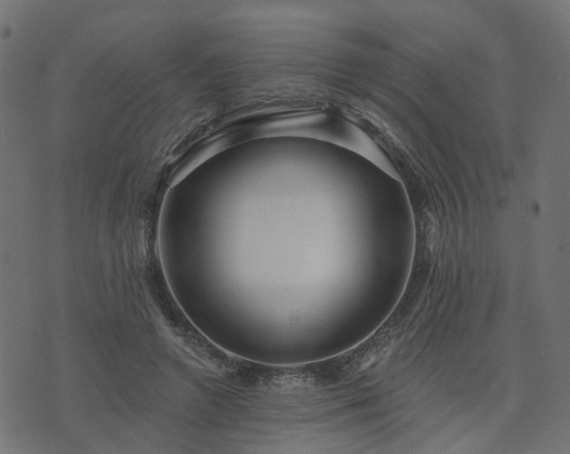 X0000073910546200608181026