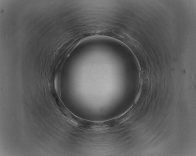 X0000073910556200608181027