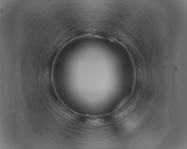 X0000073910557200608181027