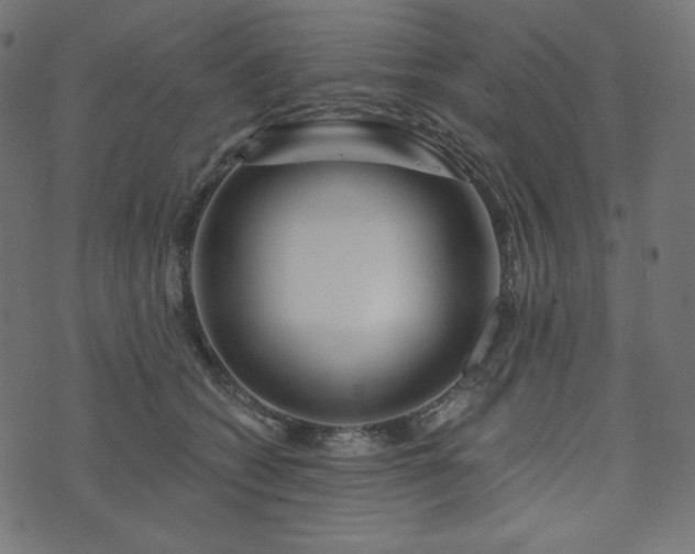 X0000073910562200608181027