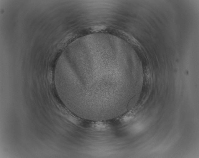 X0000073910565200608181027