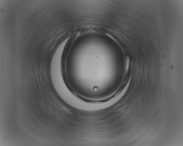 X0000073910566200608181027