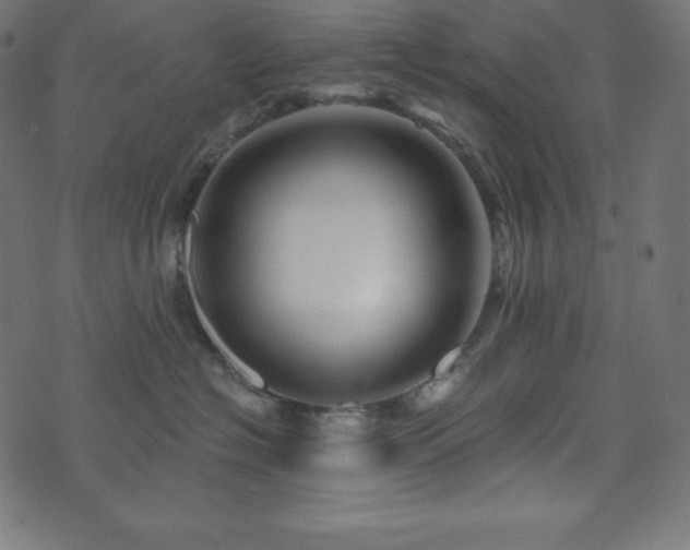 X0000073910574200608181027