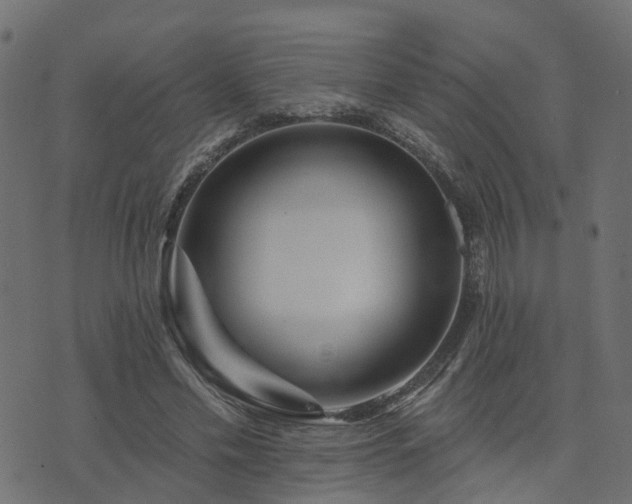 X0000073910589200608181026