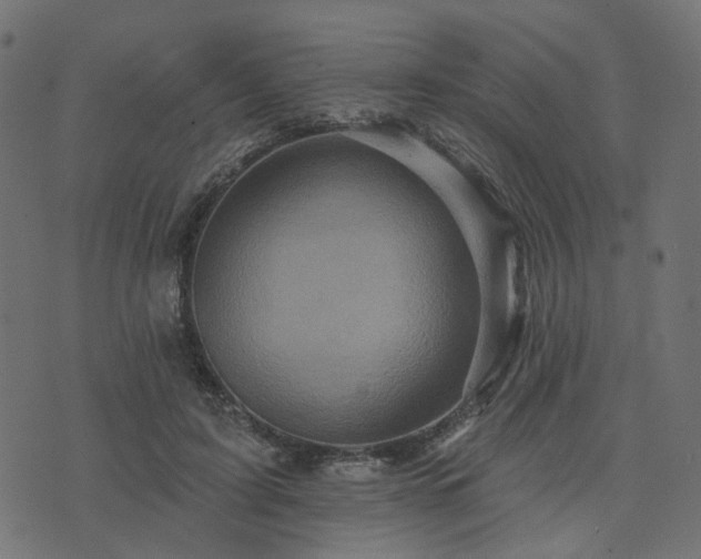 X0000073910595200608181026