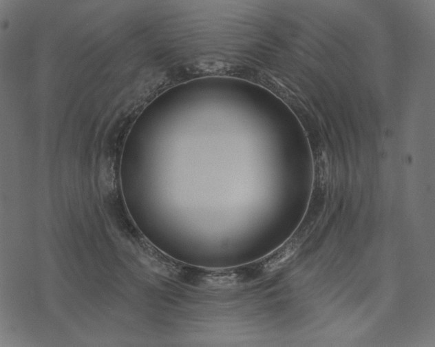 X0000073910606200608181026