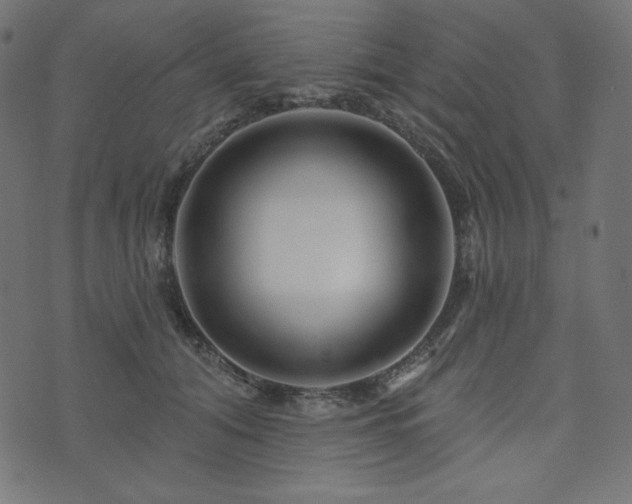 X0000073910608200608181026