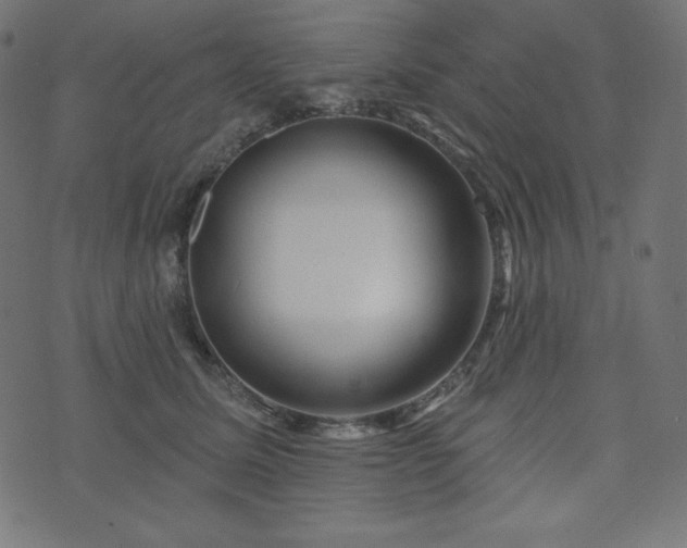 X0000073910611200608181026