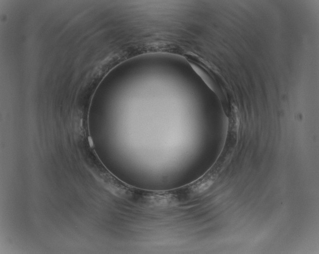 X0000073910615200608181025