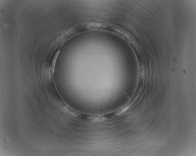 X0000073910621200608181025