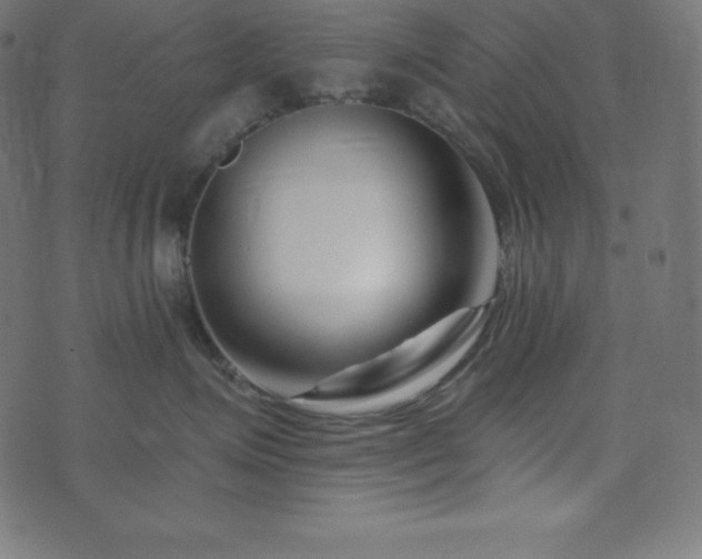 X0000073910623200608181025